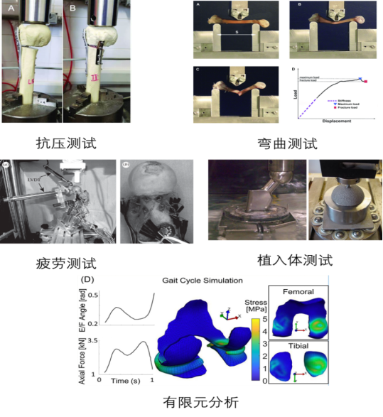 1679298159649349 image.png